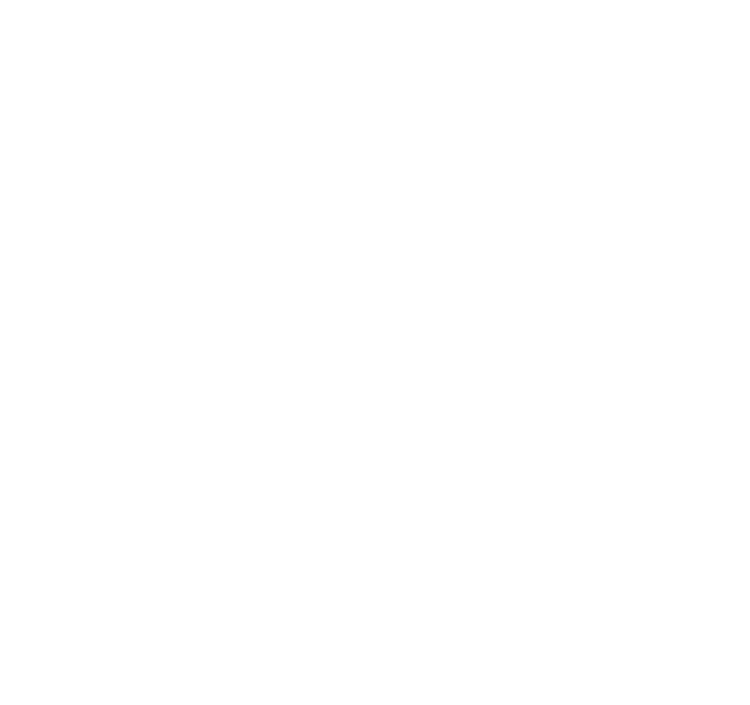 FIRE Foundation Logo Dallas